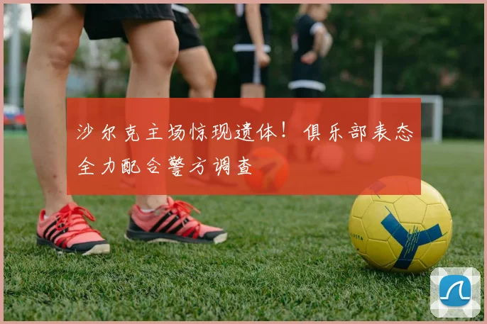 沙尔克主场惊现遗体！俱乐部表态全力配合警方调查